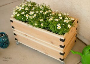 diy rolling planter cut sheet