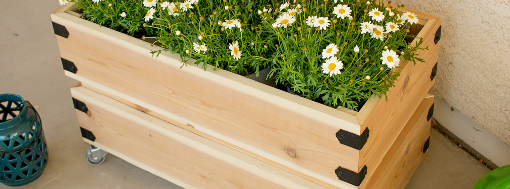 DIY: How to Build a Simple Rolling Planter