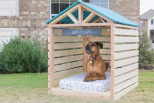 diy dog gazebo