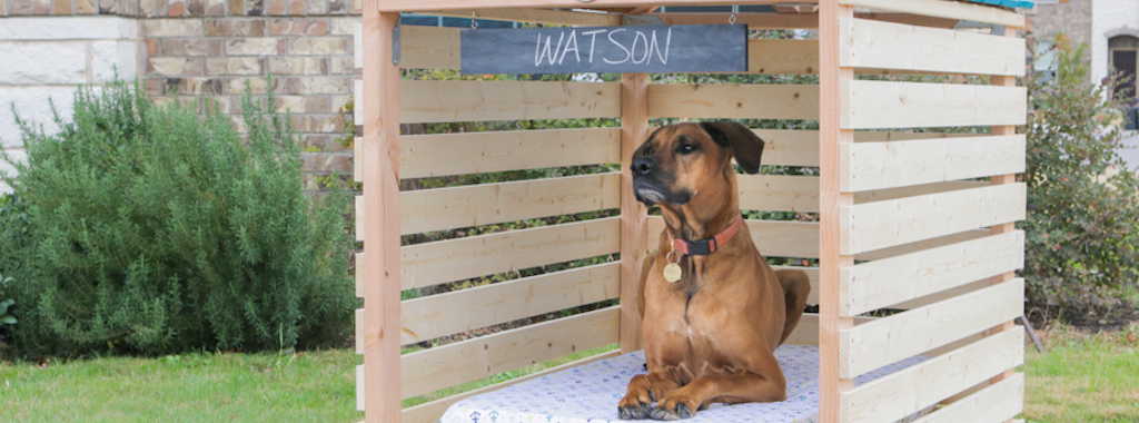 DIY: How to Build a Doghouse Gazebo