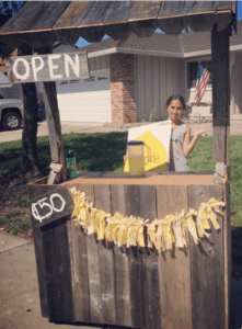 diy lemonade stand