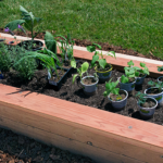 DIY: How to Build a Raised Garden Bed