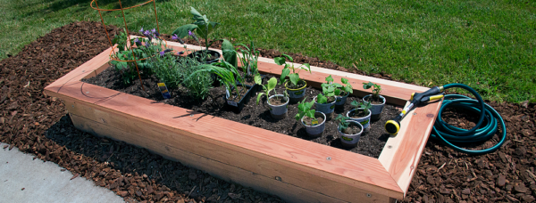 Raised Planter Bed