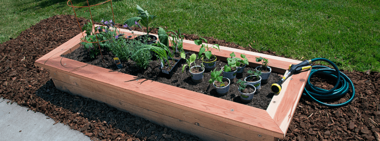 Raised Planter Bed