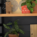 DIY a Fastener-Connected Built-in Bookshelf with The Awesome Orange