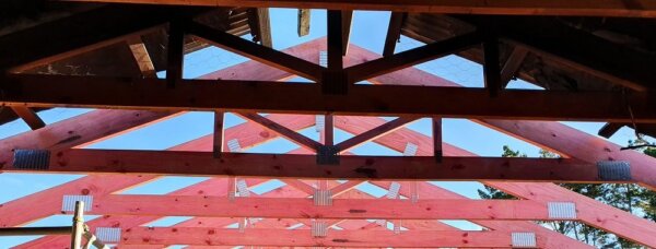 Contributing to a New Youth Scout Den in New Zealand