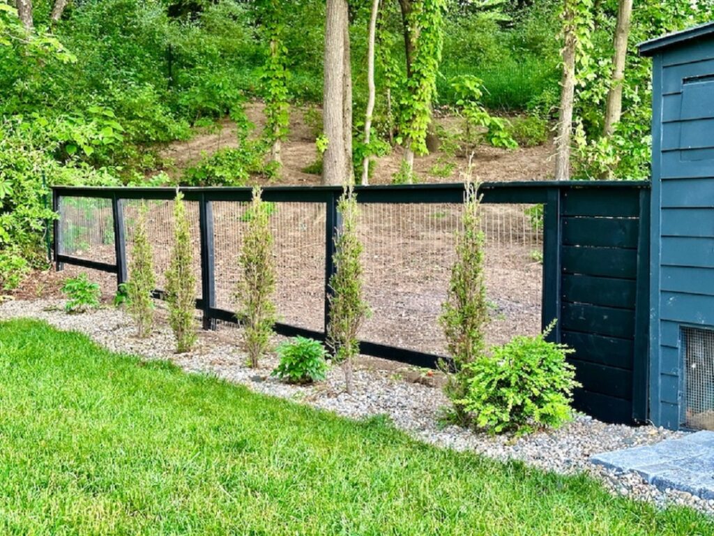 Completed chicken coop fence