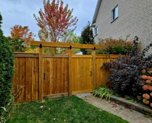 Fence and gate by Andrew Peterson