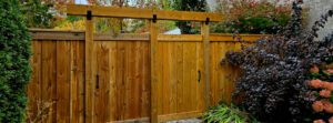 Double gate with fencing by Andrew Peterson